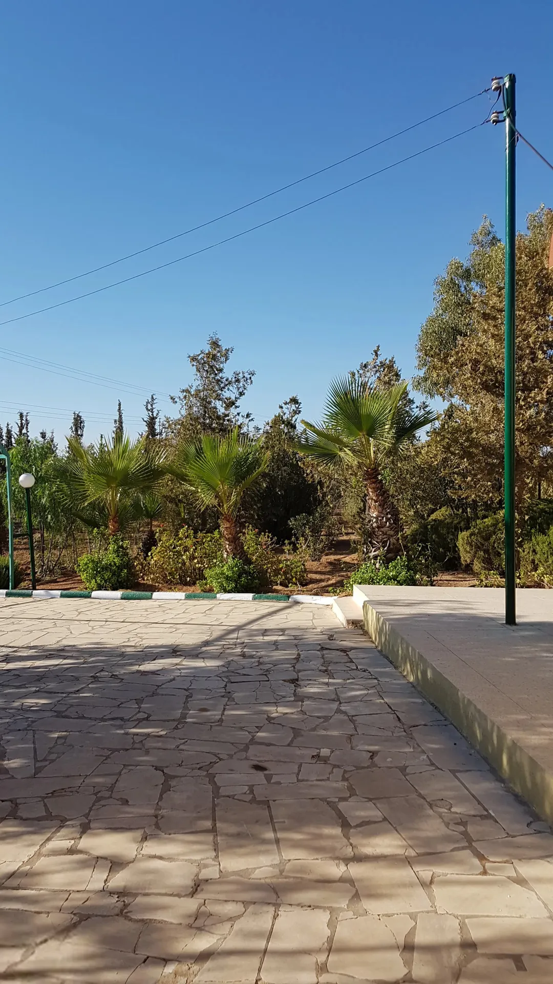 مزرعة للبيع في دليلة المطيرات منطقة الجيزة