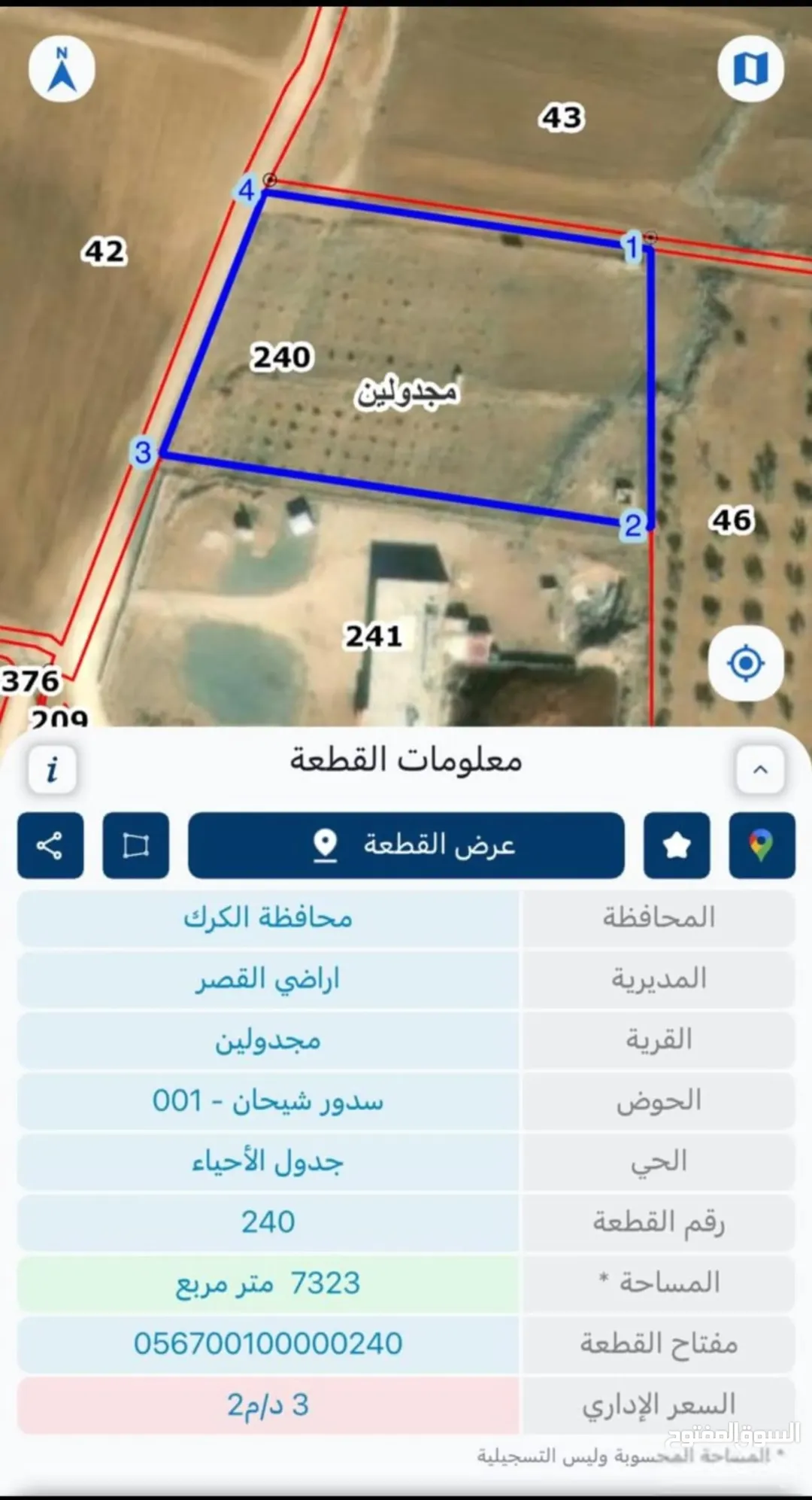مزرعة زيتون مثمرة للبيع في القصر – الكرك