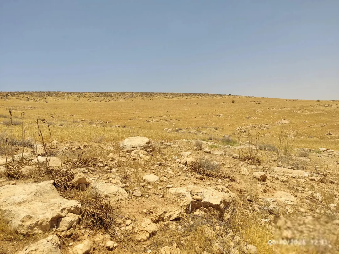 أرض استثمارية للبيع في جريبا بالزرقاء بإطلالة على عمان