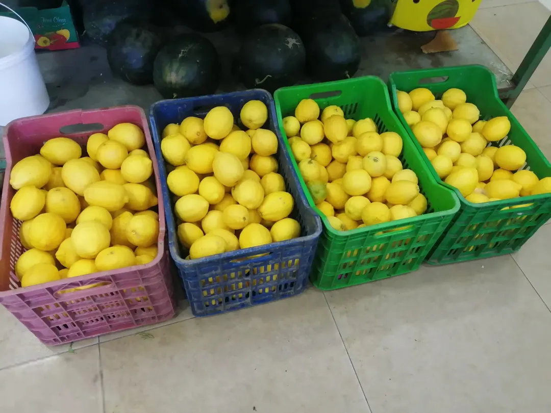 مزرعة رائعة بإطلالة خلابة على بساتين وادي شعيب في السلط