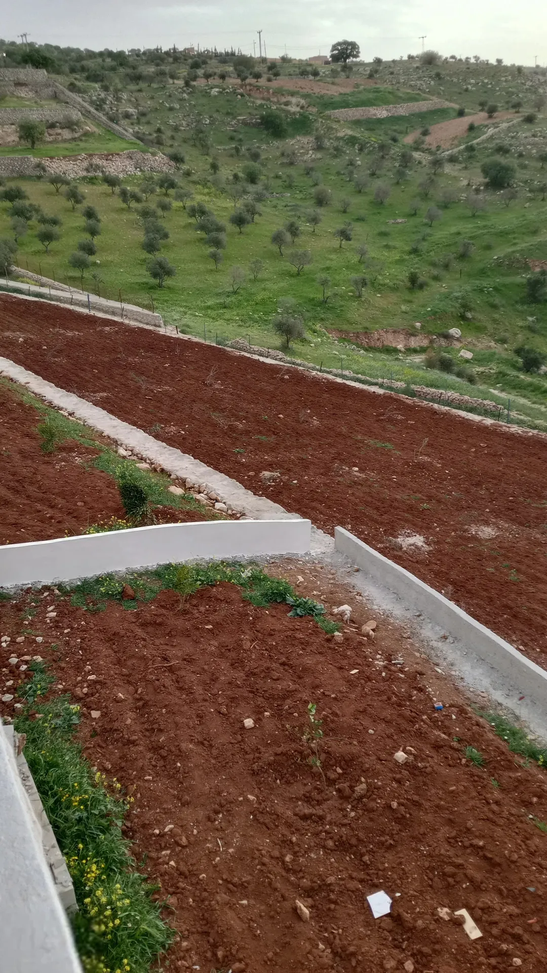 أرض مع بيت للبيع من اجمل مناطق العالوك اطلاله عالميه جدا واصل جميع الخدمات مستويه مثل الكف تربه