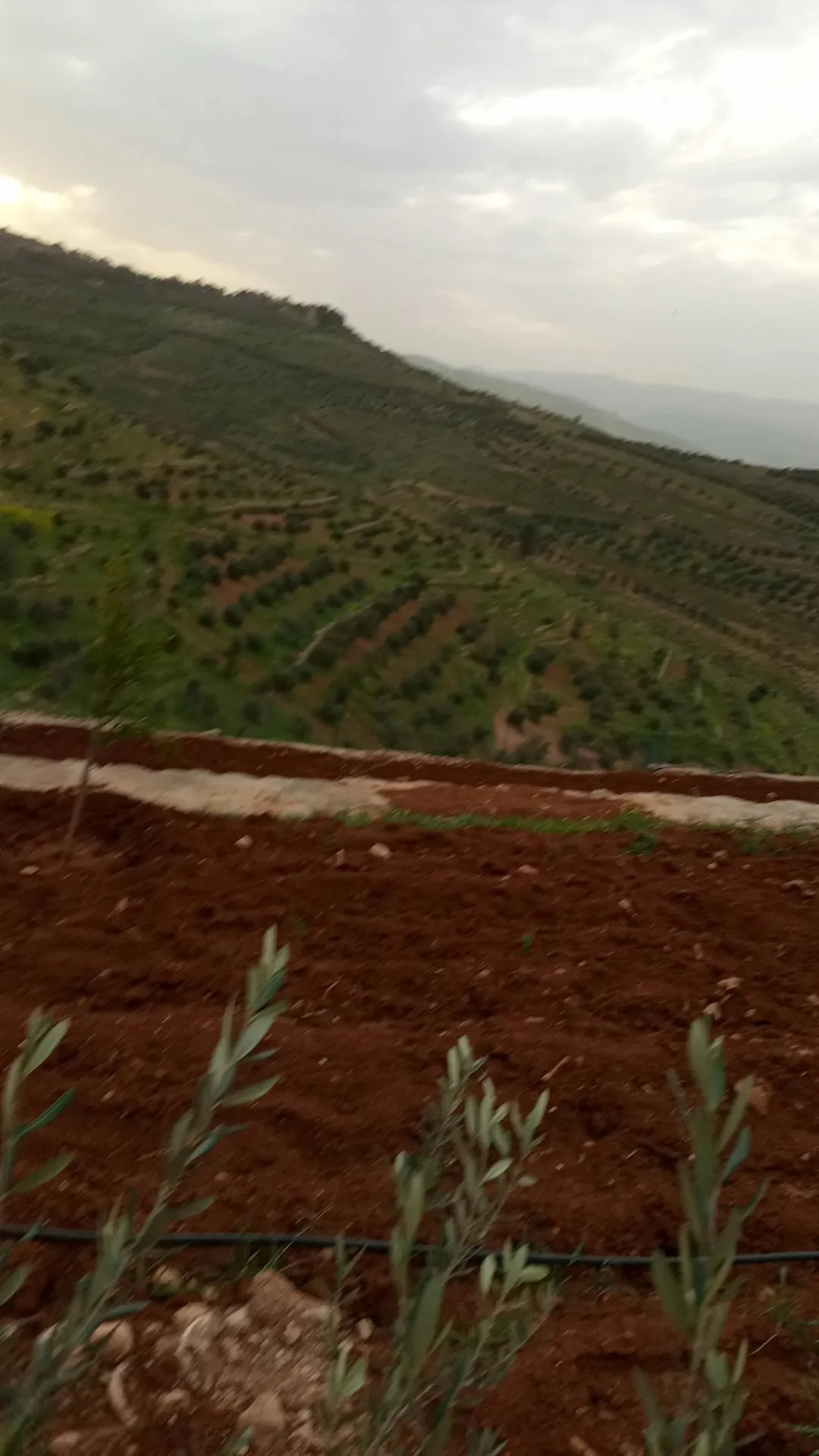 أرض مع بيت للبيع من اجمل مناطق العالوك اطلاله عالميه جدا واصل جميع الخدمات مستويه مثل الكف تربه