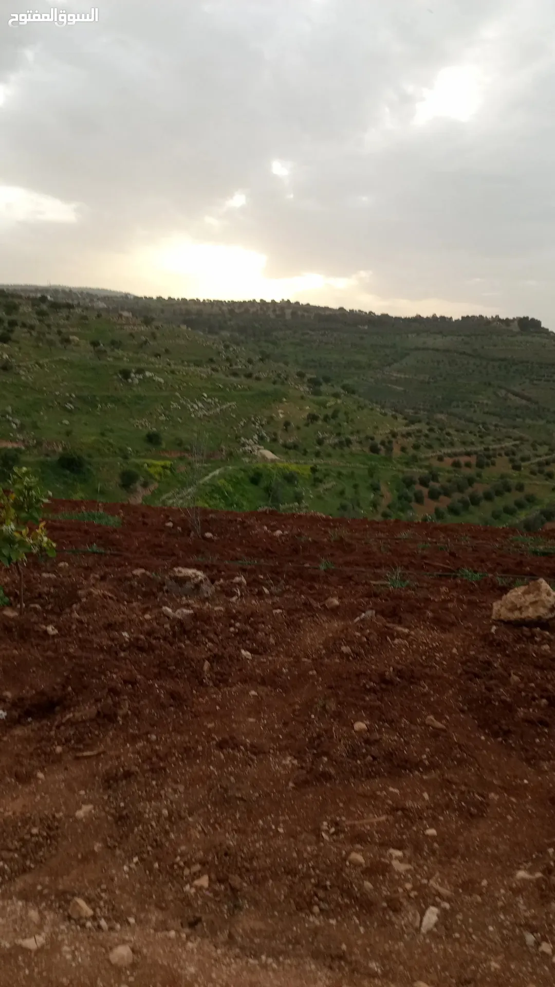 أرض مع بيت للبيع من اجمل مناطق العالوك اطلاله عالميه جدا واصل جميع الخدمات مستويه مثل الكف تربه