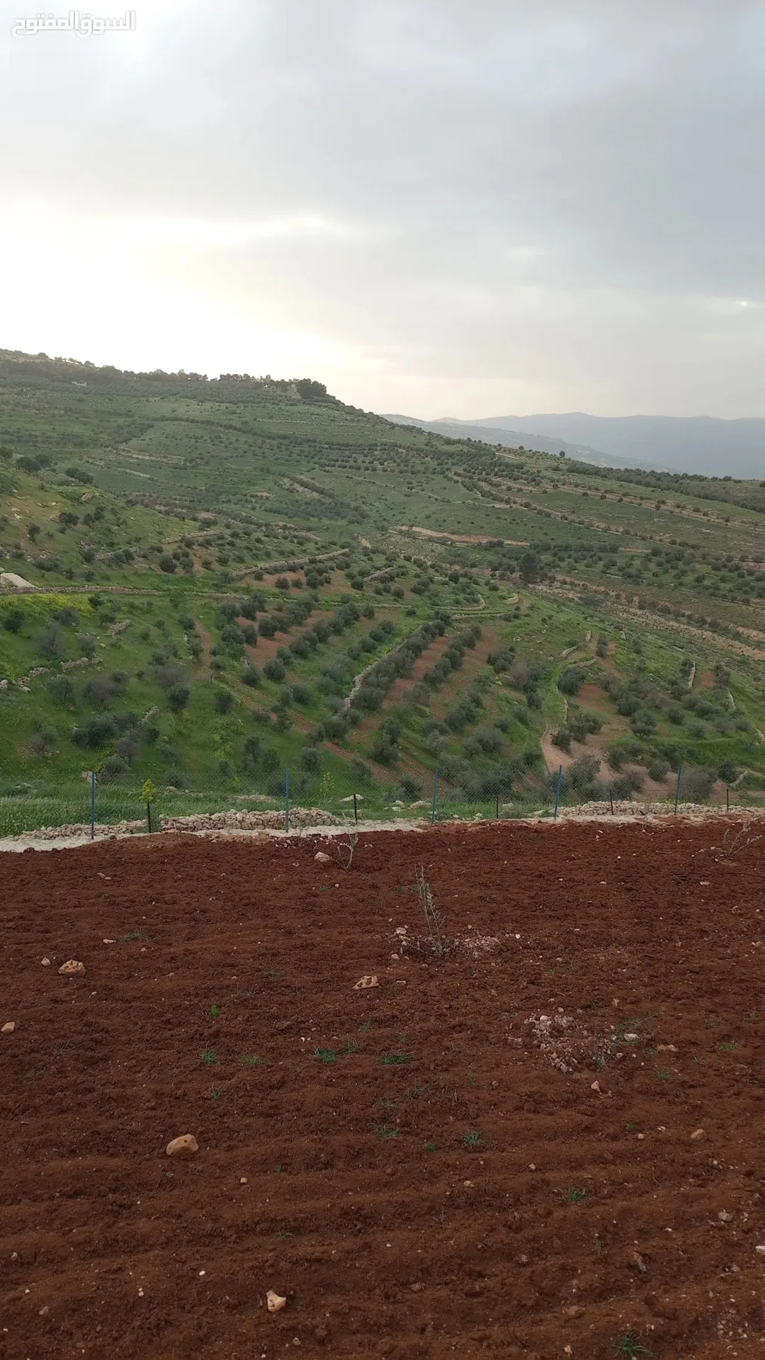 أرض مع بيت للبيع من اجمل مناطق العالوك اطلاله عالميه جدا واصل جميع الخدمات مستويه مثل الكف تربه
