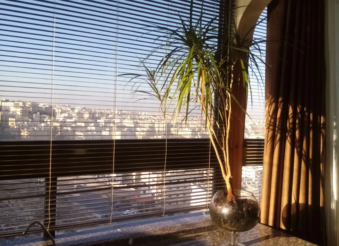 1080