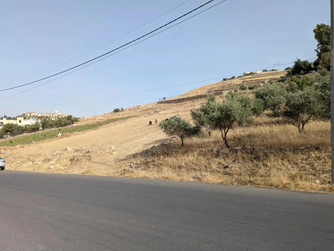 أرض سكنية مميزة للبيع في شفا العامرية – السلط