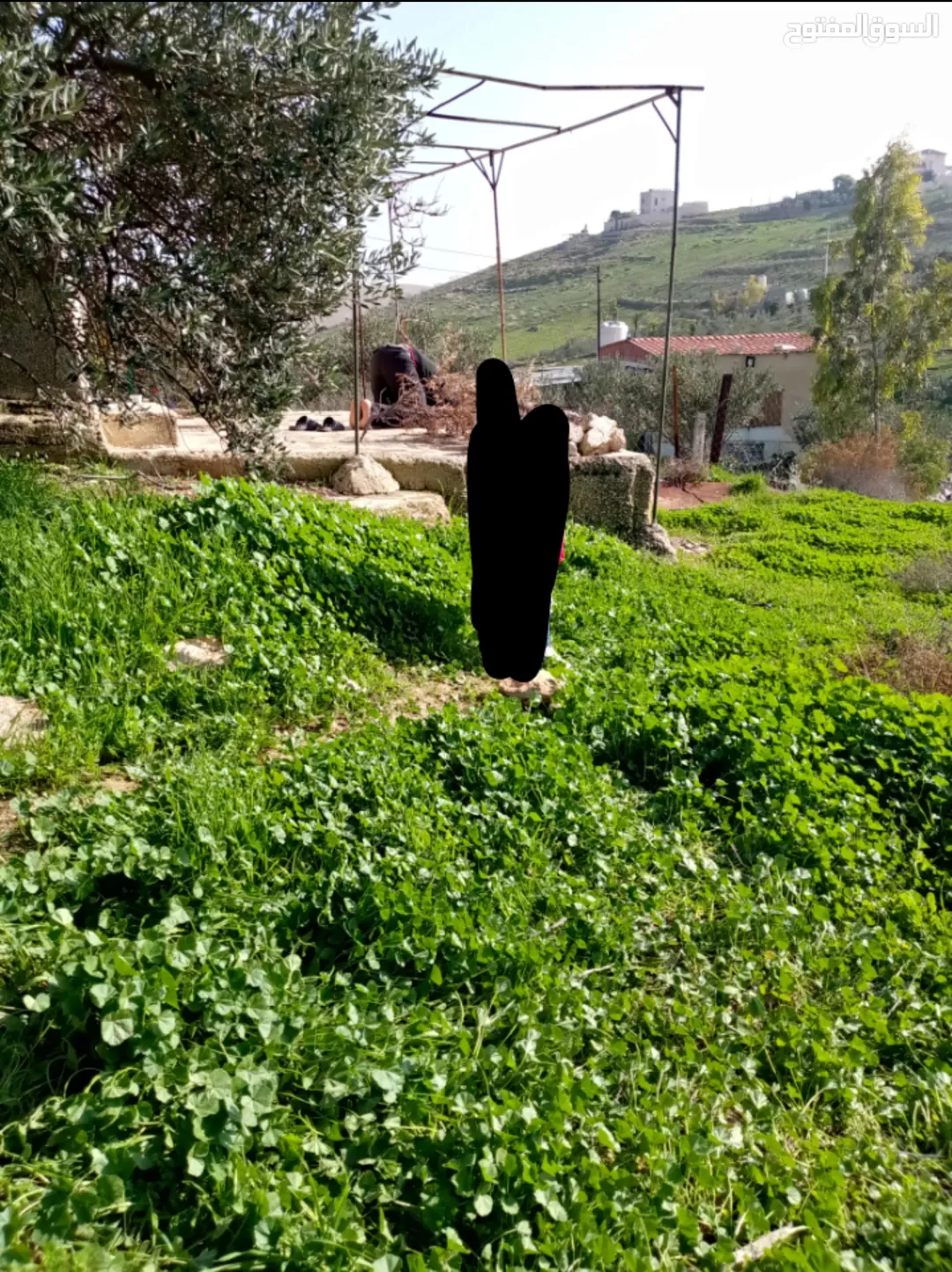 مزرعة للبيع في غريسا قرية بلا سقوف