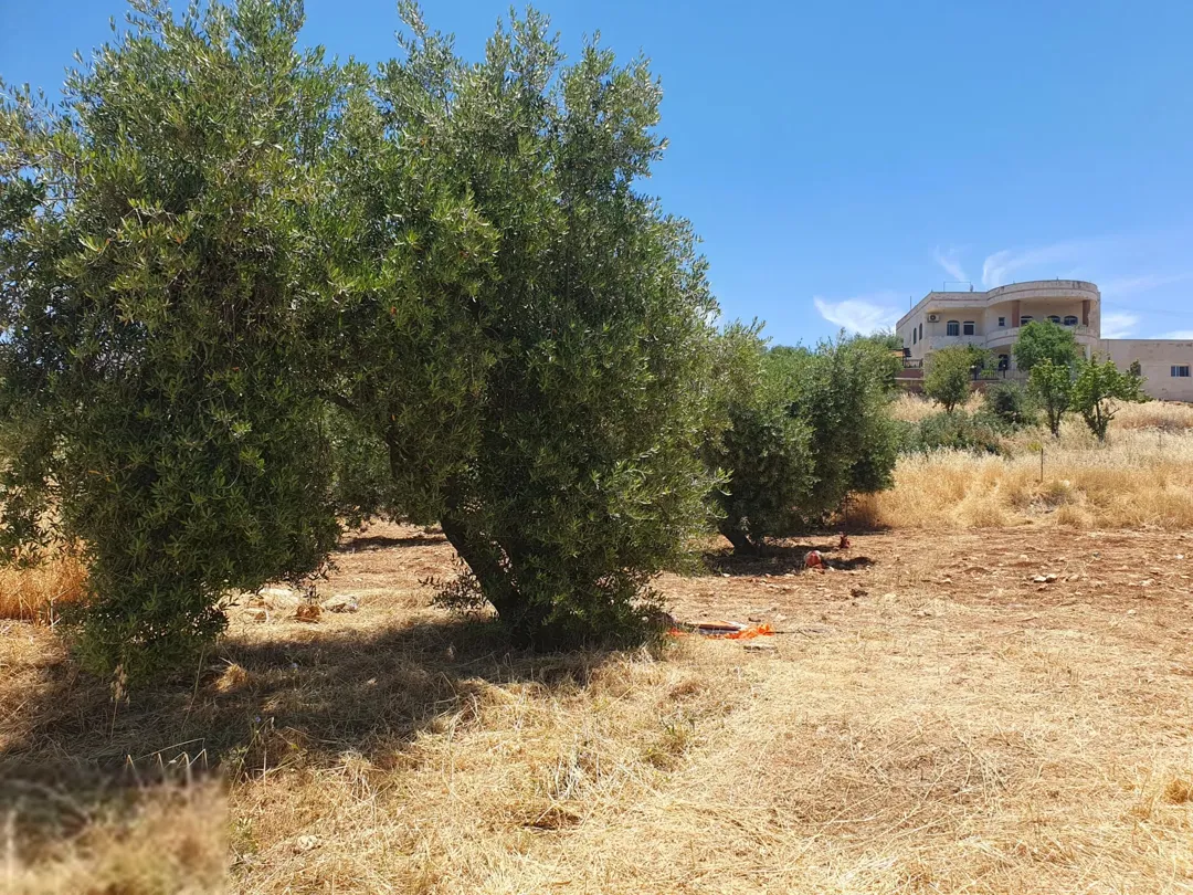 أرض سكنية مميزة للبيع في بدر الجديدة – حوض الميسر