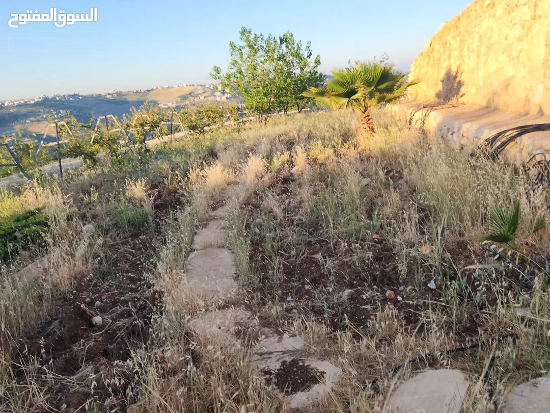 ارض مميزة للبيع في النعير – 3000 متر