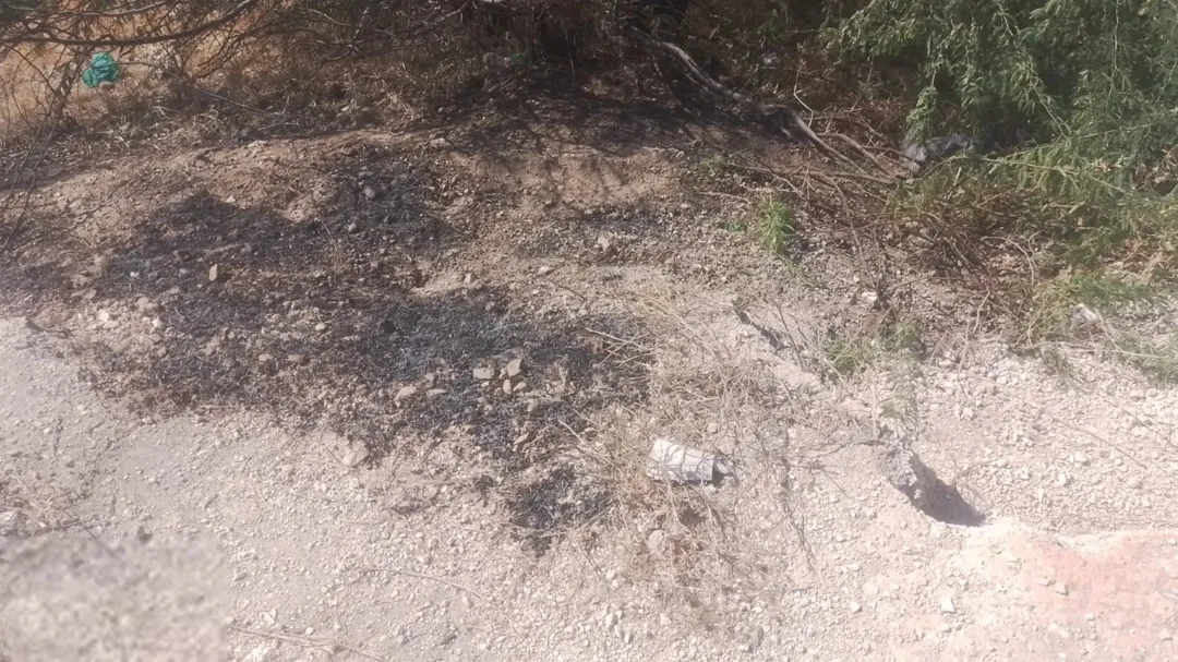 أرض زراعية مميزة للبيع في منطقة الرجيله