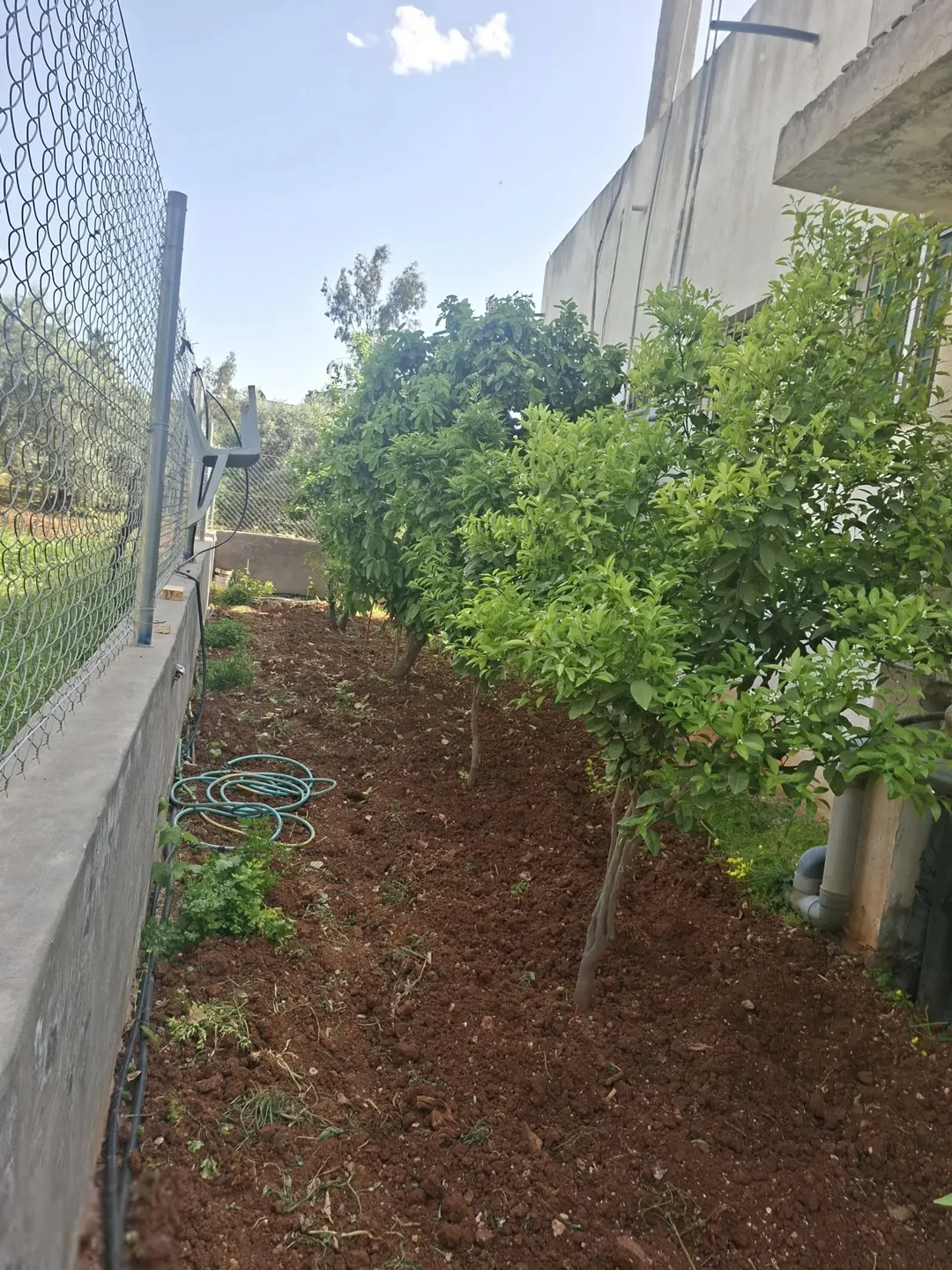بيت للبيع في الصبيحي طابقان واجهتان مساحة 250 متر مربع مباشرة