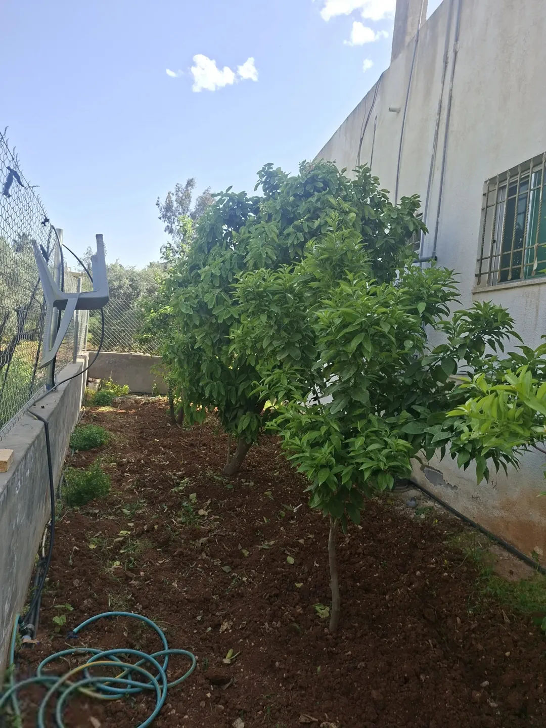 بيت للبيع في الصبيحي طابقان واجهتان مساحة 250 متر مربع مباشرة