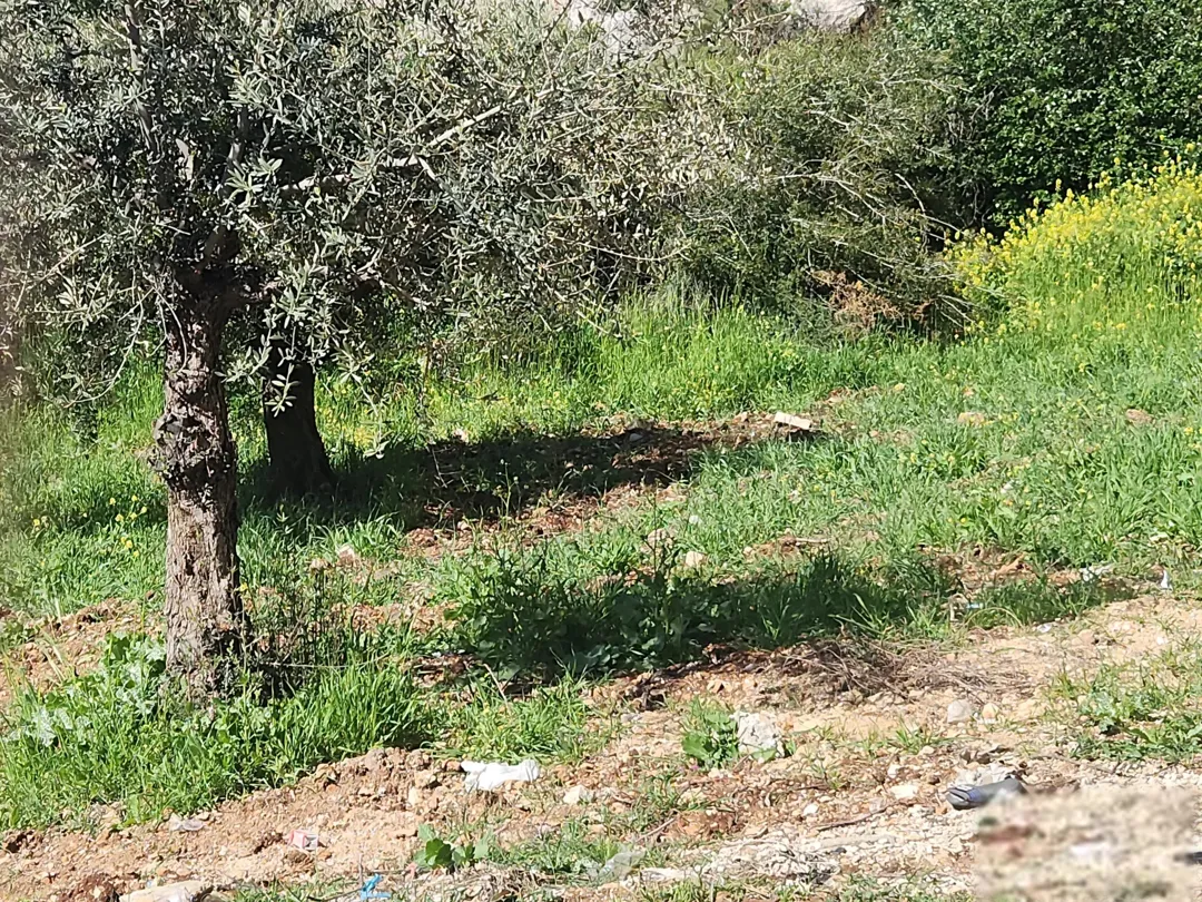 في قلب عمان الغربية بدر الجديدة الرباحية الجنوبية – واحة من الرفاهية
