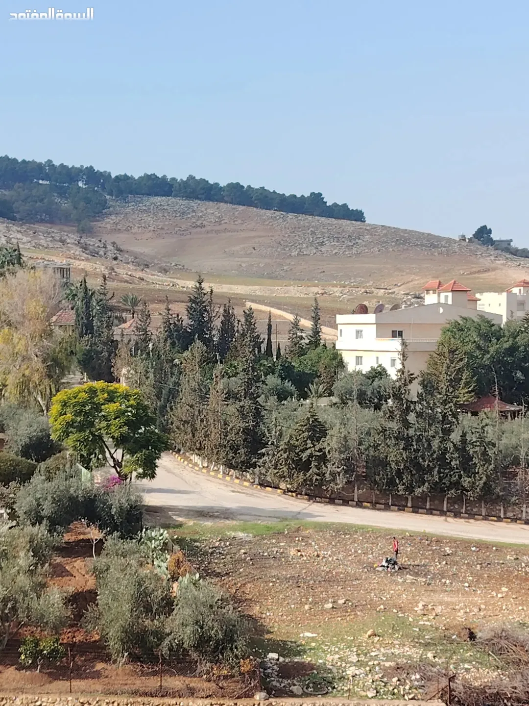 أربع دنمات مميزة بجوار مطعم خيل وليل مستصلحة بالكامل في منطقة مزارع وشاليهات