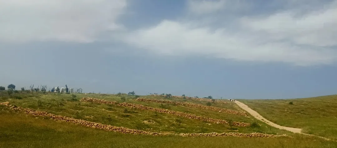 قطعة أرض للبيع في بلقعا المراجم