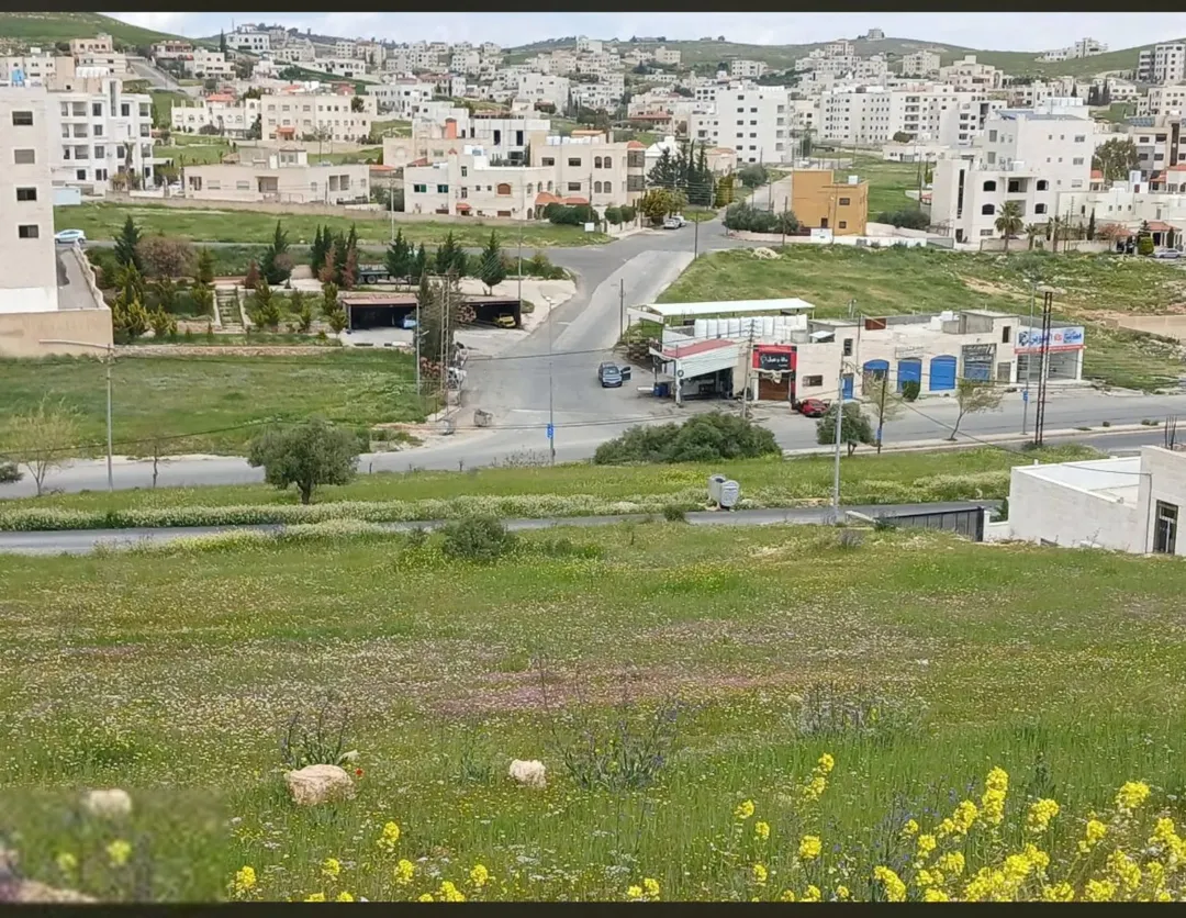 أرض سكنية للبيع في شفا بدران – مرج الفرس
