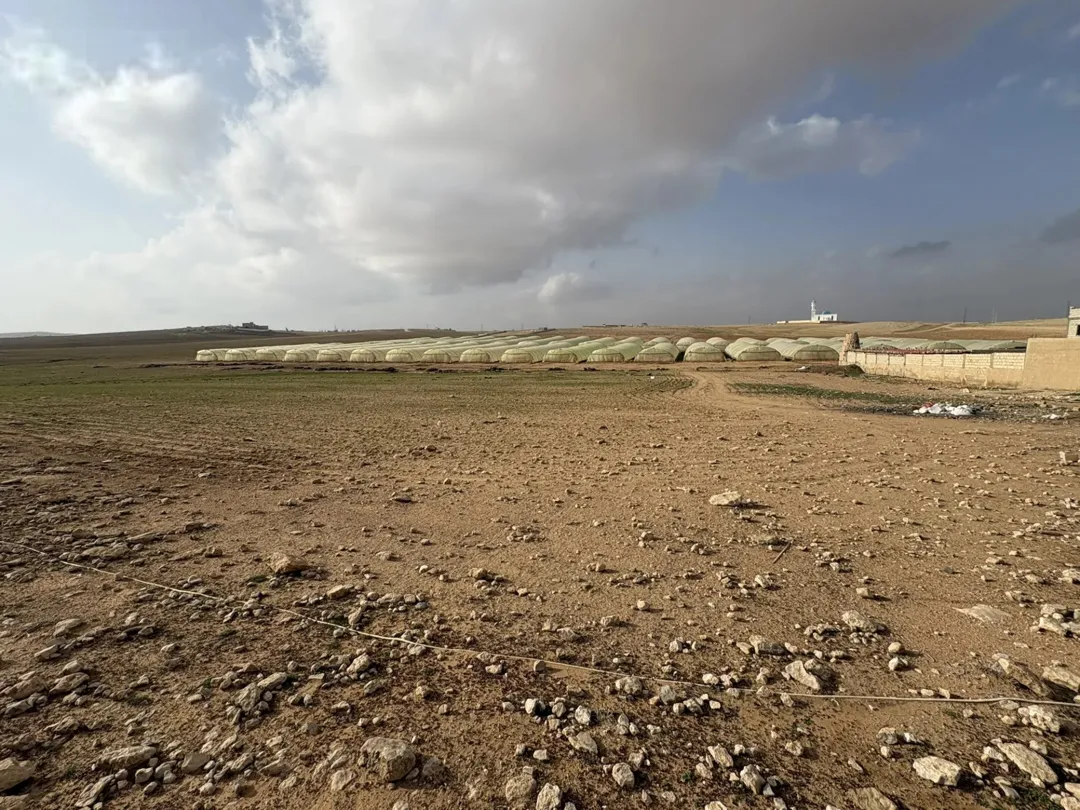 ارض للبيع في قعفور مدينة عمرة الجديده