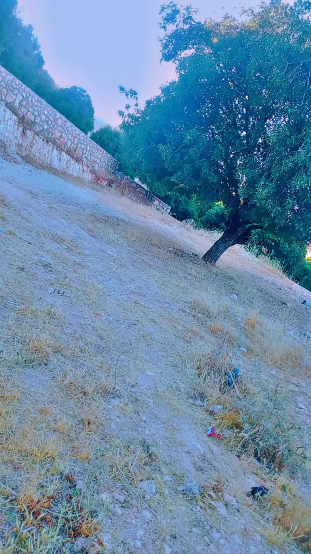 مزرعة وقرية سياحية للبيع في شطنا – إربد