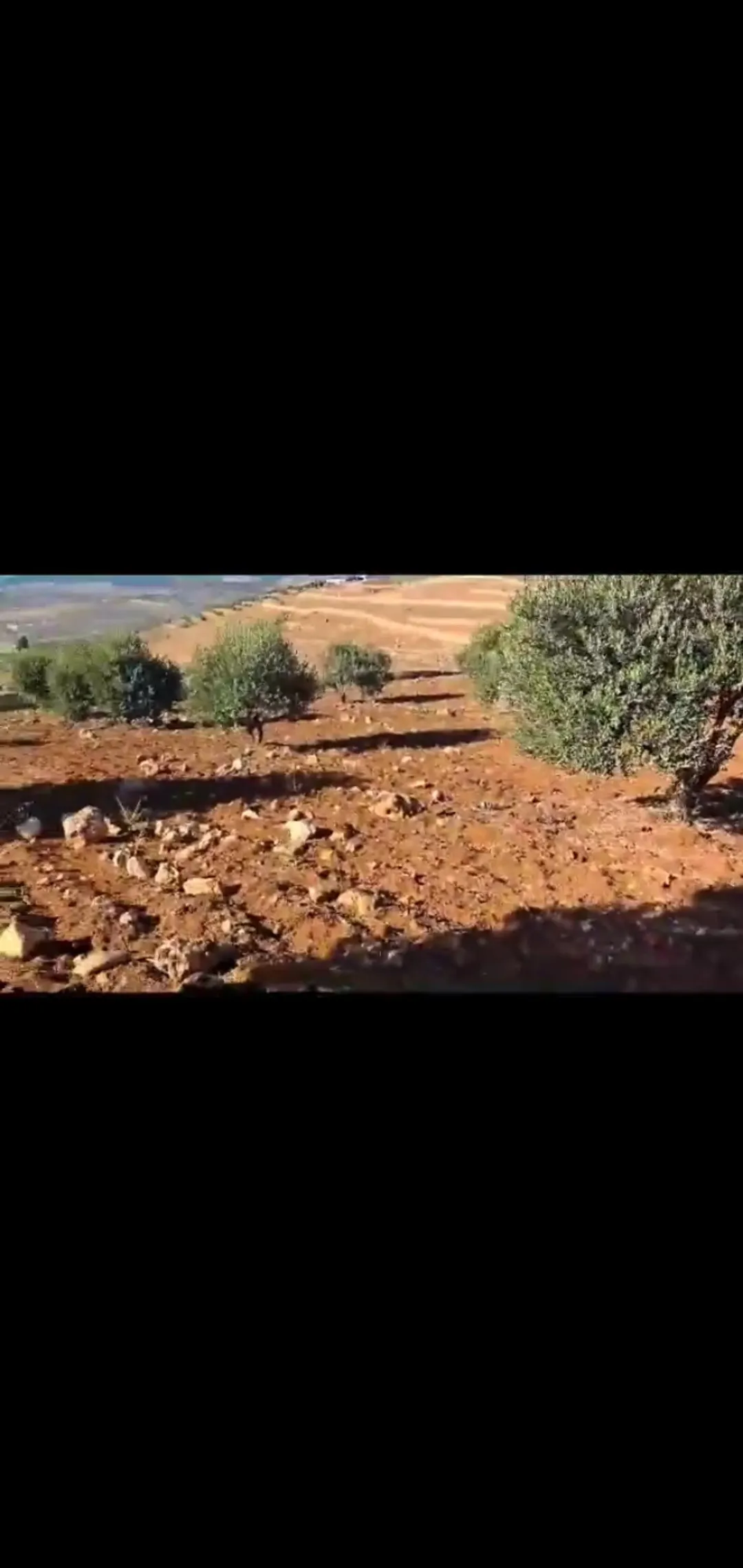 مزرعة مميزة للبيع في جرش