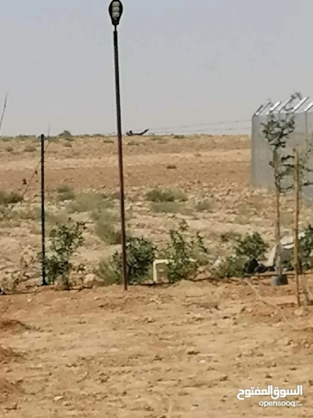 أرض زراعية مميزة للبيع في البريكة – عمان