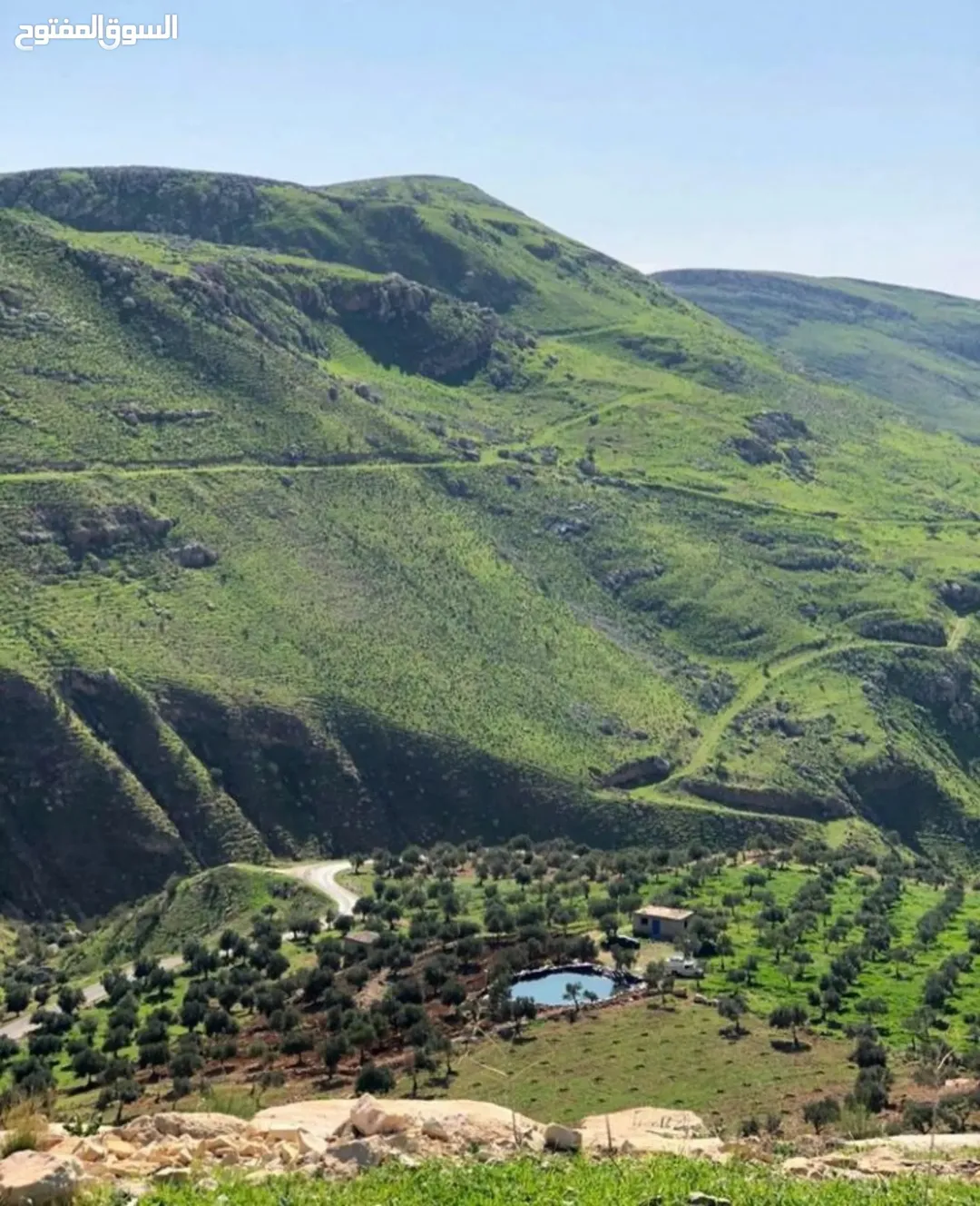 أرض زراعية في وادي شعيب بإطلالة على جبال ماحص