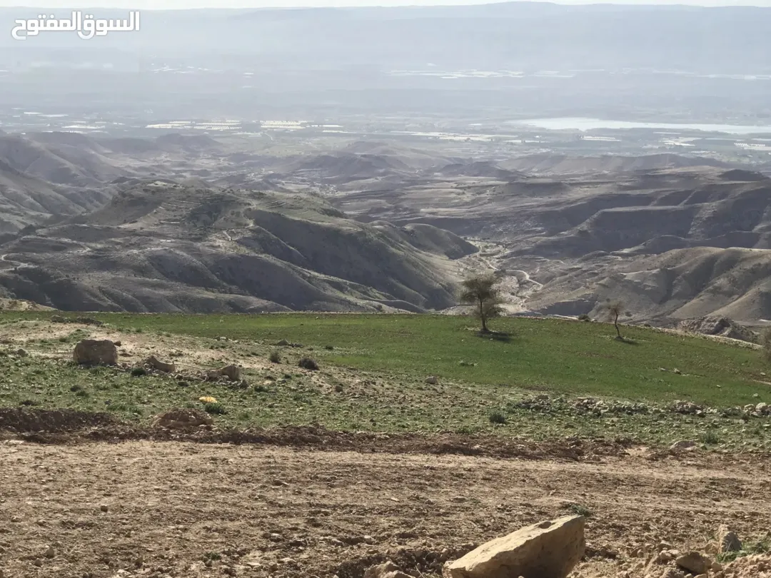 أرض زراعية للبيع في السلط – حوض الوطية