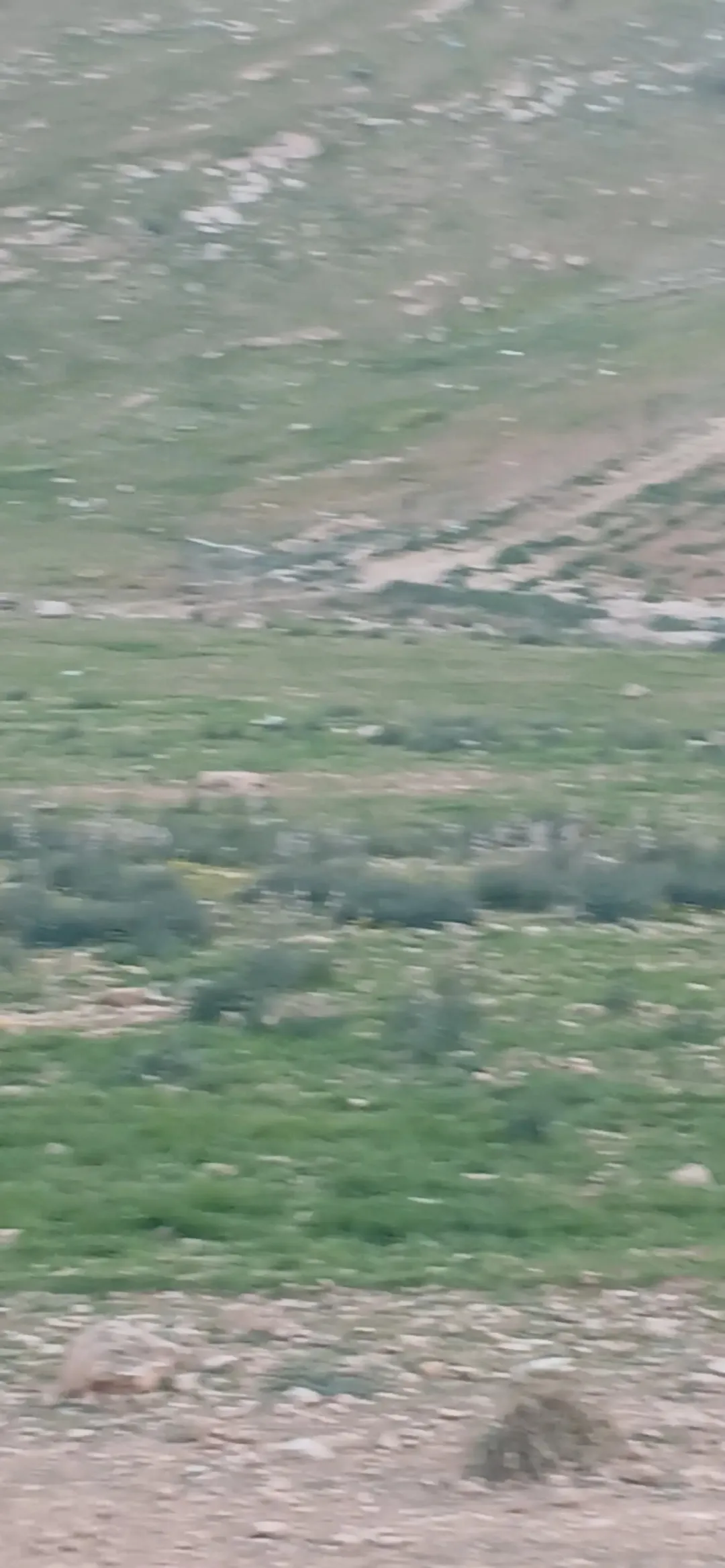 قطعه ارض للبيع في جرش