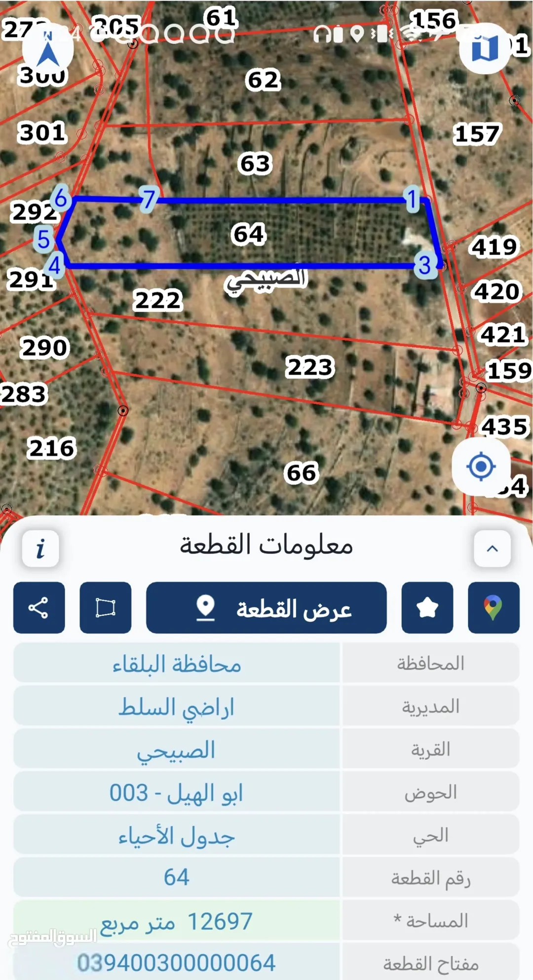 مزرعة زيتون مميزة للبيع في الصبيحي – السلط