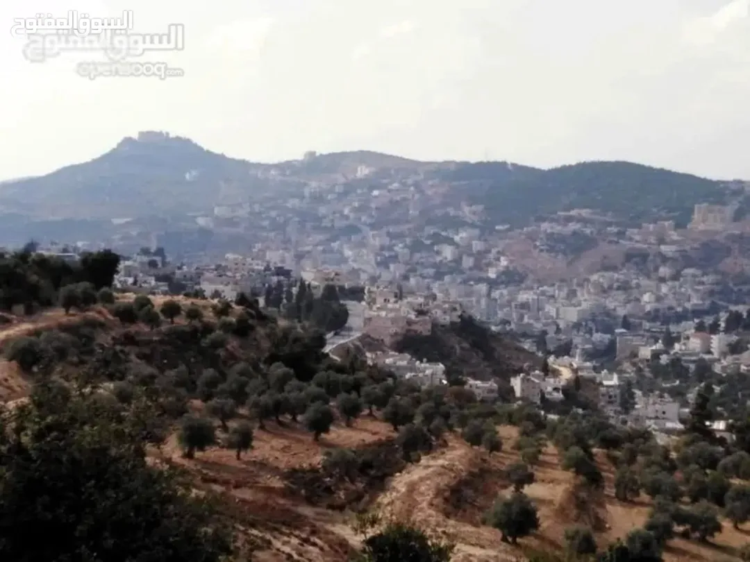 أرض بإطلالة مباشرة على قلعة عجلون للبيع