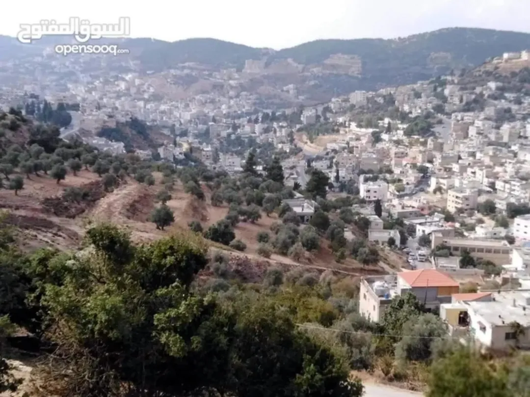 أرض بإطلالة مباشرة على قلعة عجلون للبيع