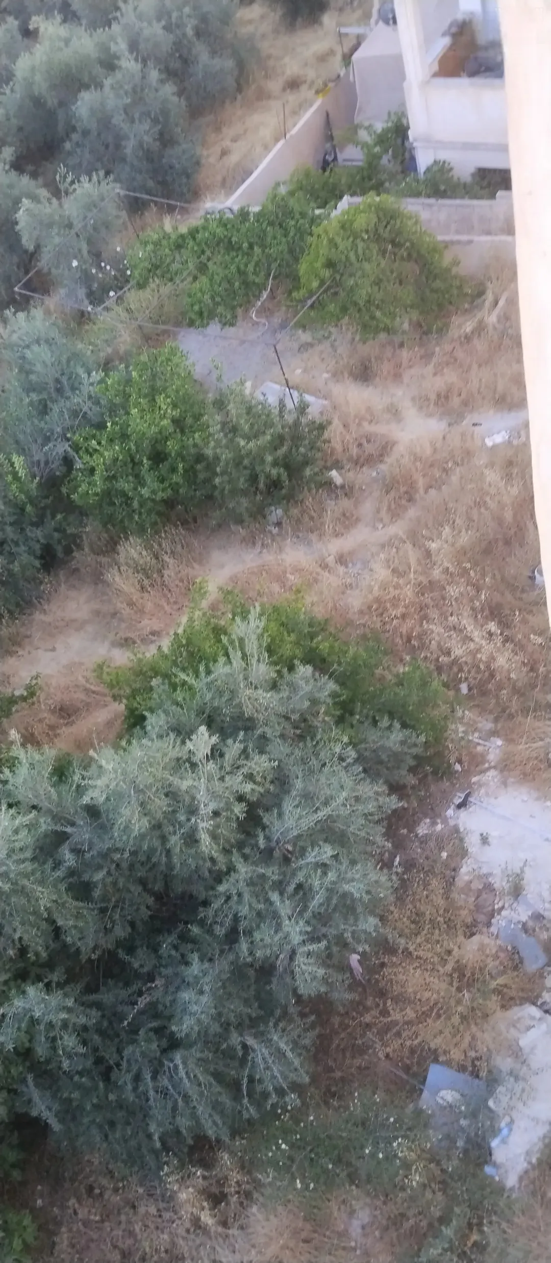 عماره للبيع في منطقة المقابلين حي الحسنيه