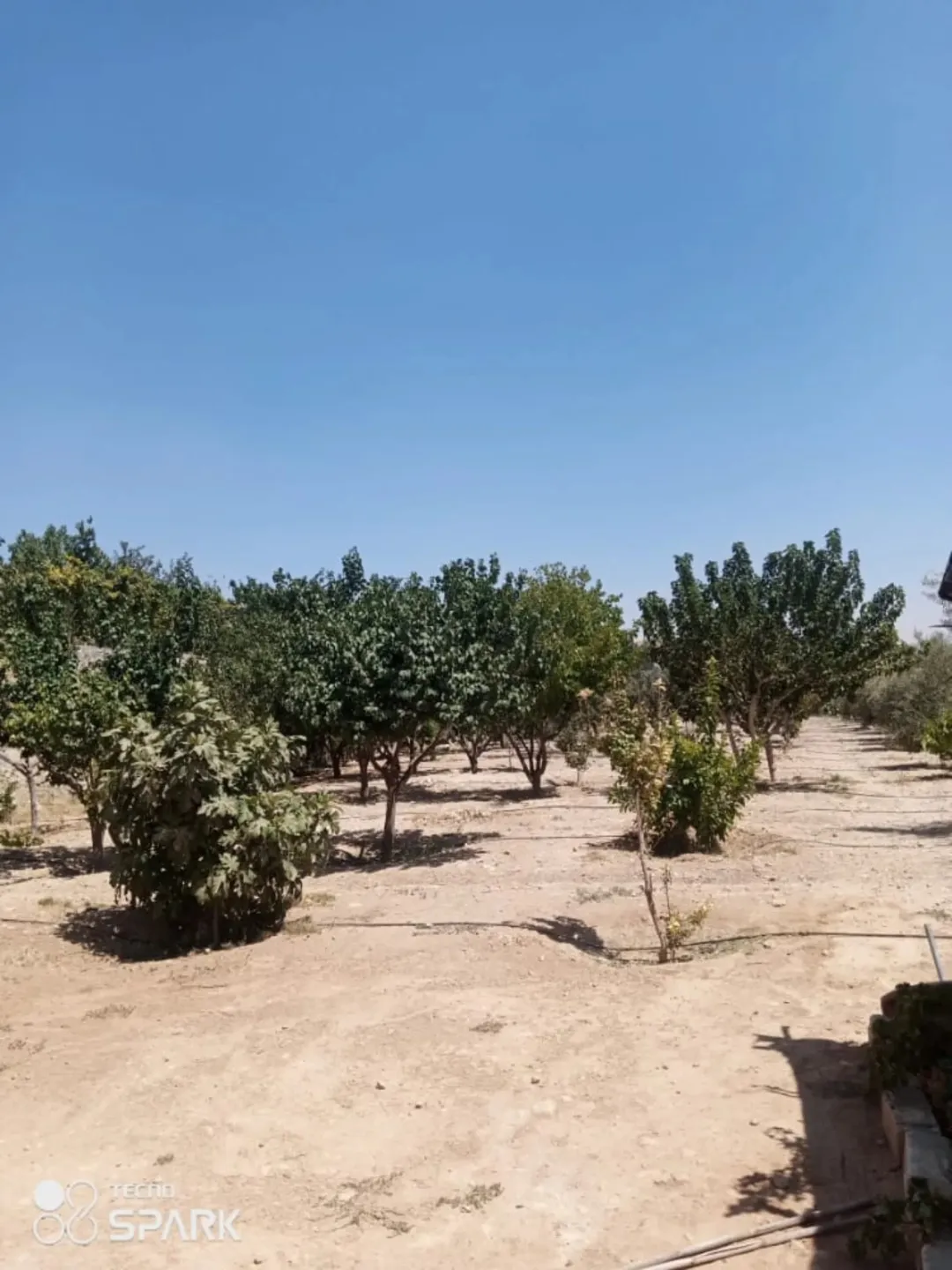 مزرعة على السيل مباشرة للبيع