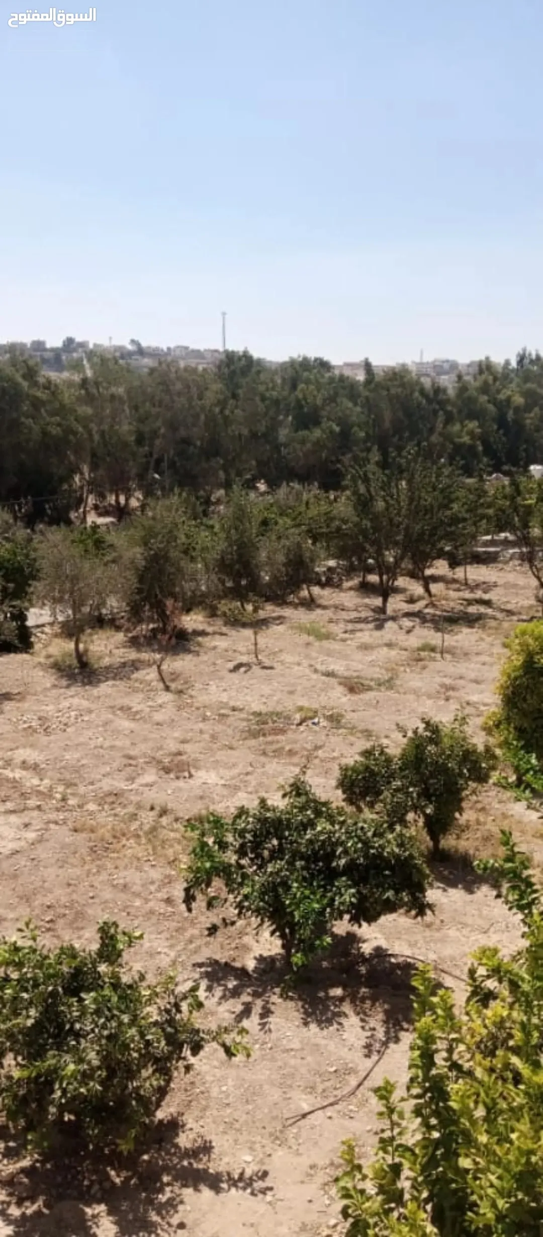 مزرعة على السيل مباشرة للبيع