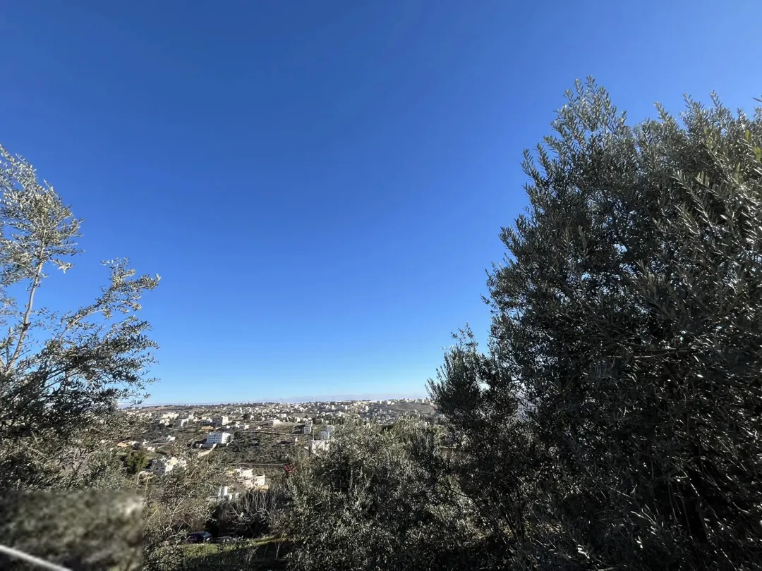 سوادة السلط تقريبا دونم ب 57 الف