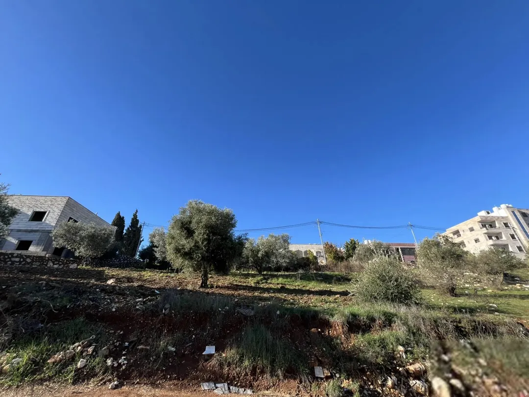 سوادة السلط تقريبا دونم ب 57 الف