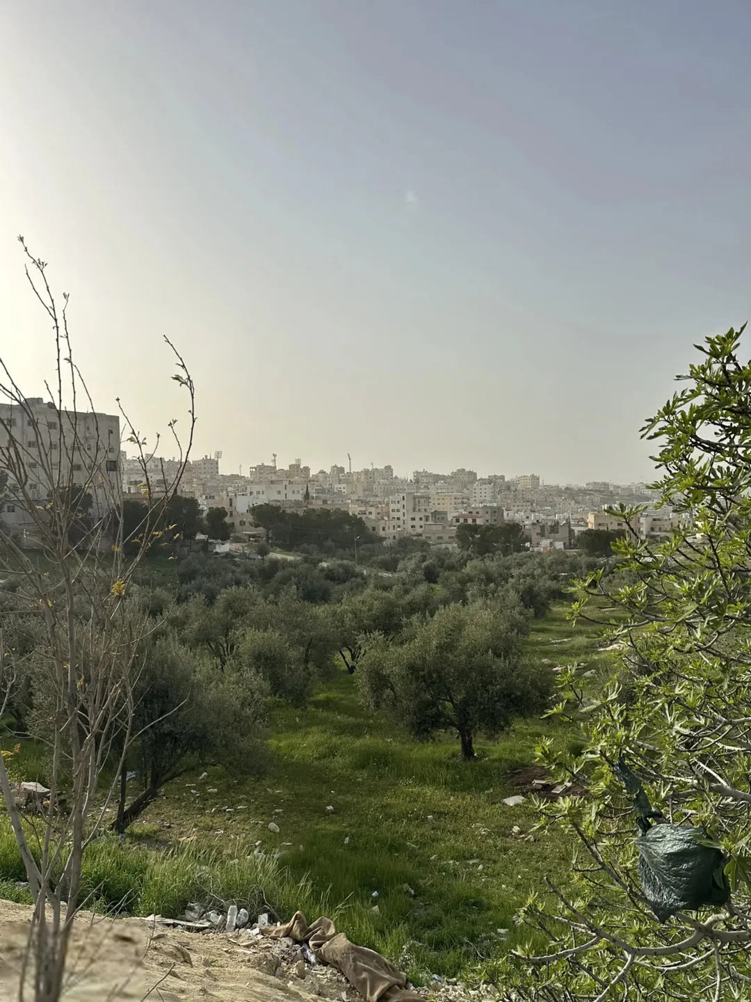 أرض سكنية للبيع في القويسمة – عمان