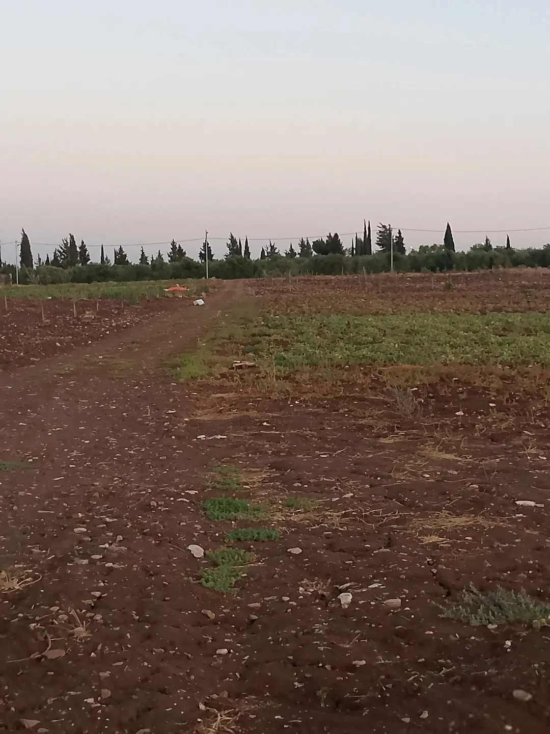 أرض للبيع في إربد – لواء بني كنانة – القصفة