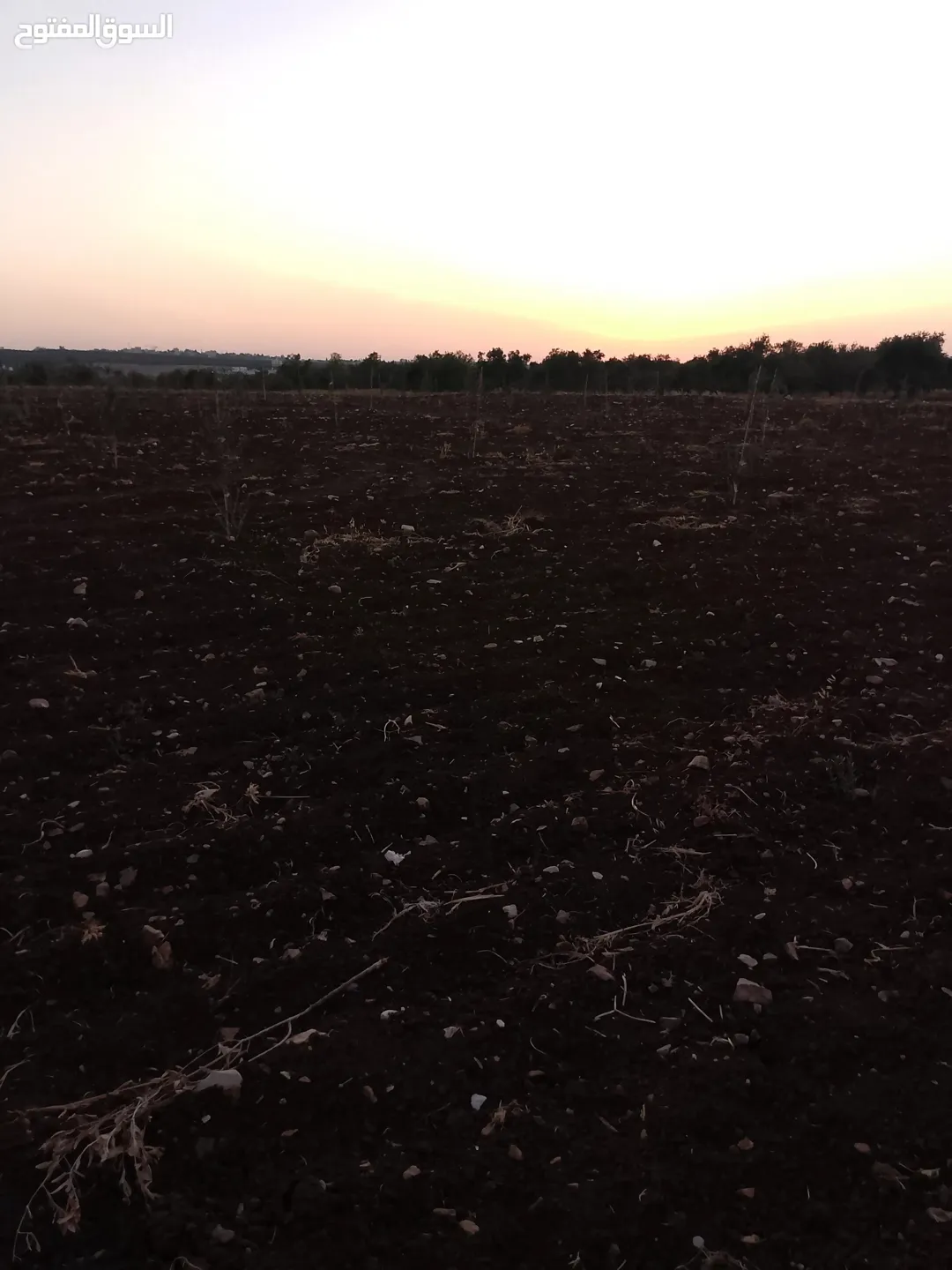 أرض للبيع في إربد – لواء بني كنانة – القصفة
