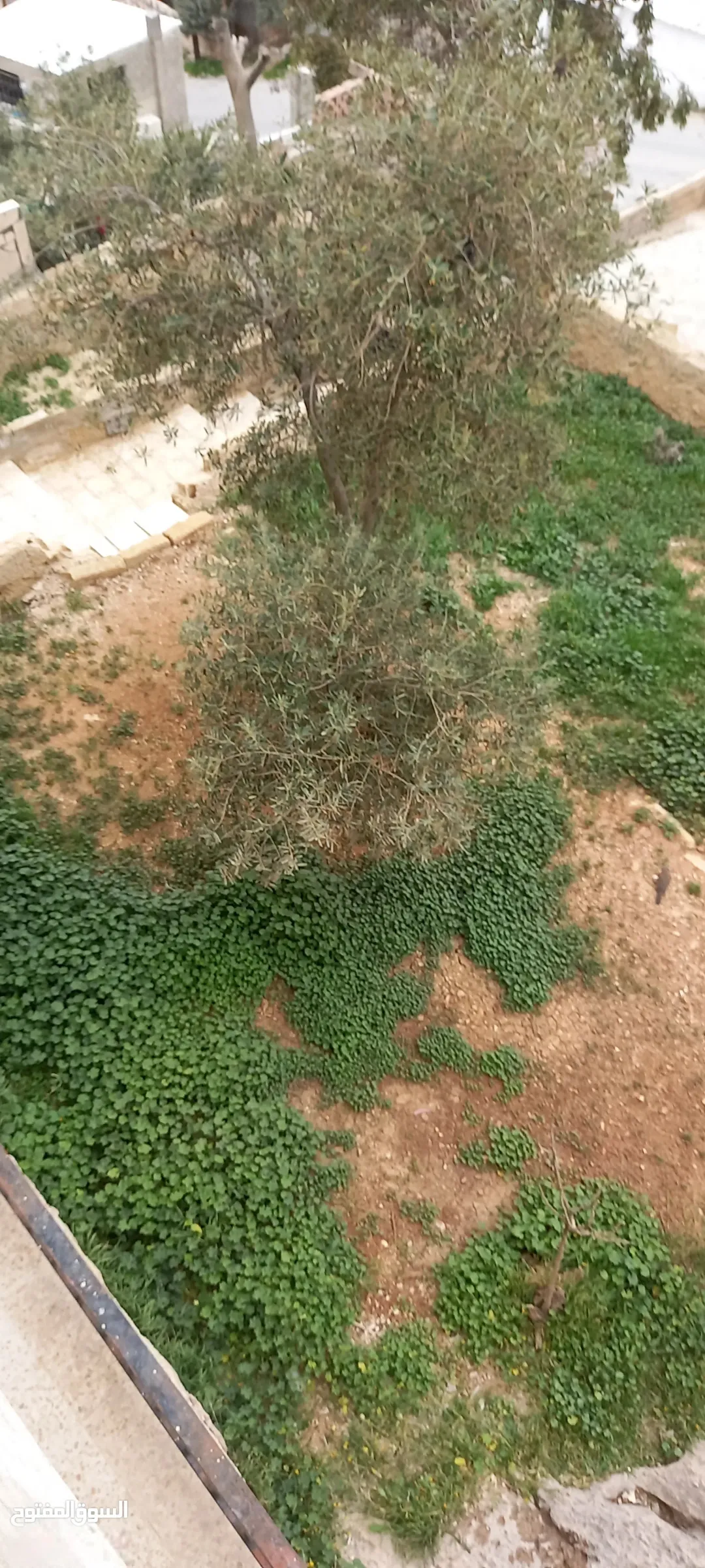 بناء سكني مميز للبيع مكون من ثلاثة طوابق