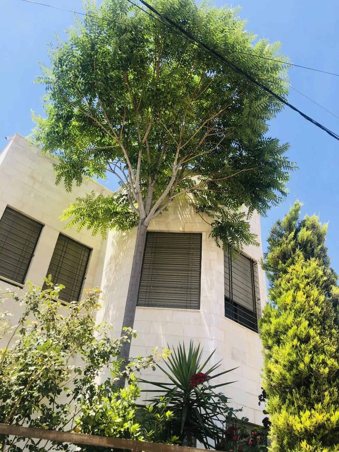 فيلا فاخرة للبيع في ضاحية الرشيد – إسكان المهندسين