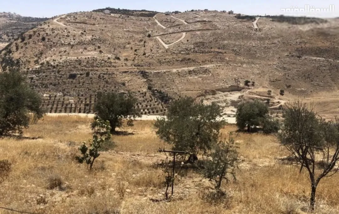 مزرعة للبيع في السلط قطعة مميزة في مغاريب