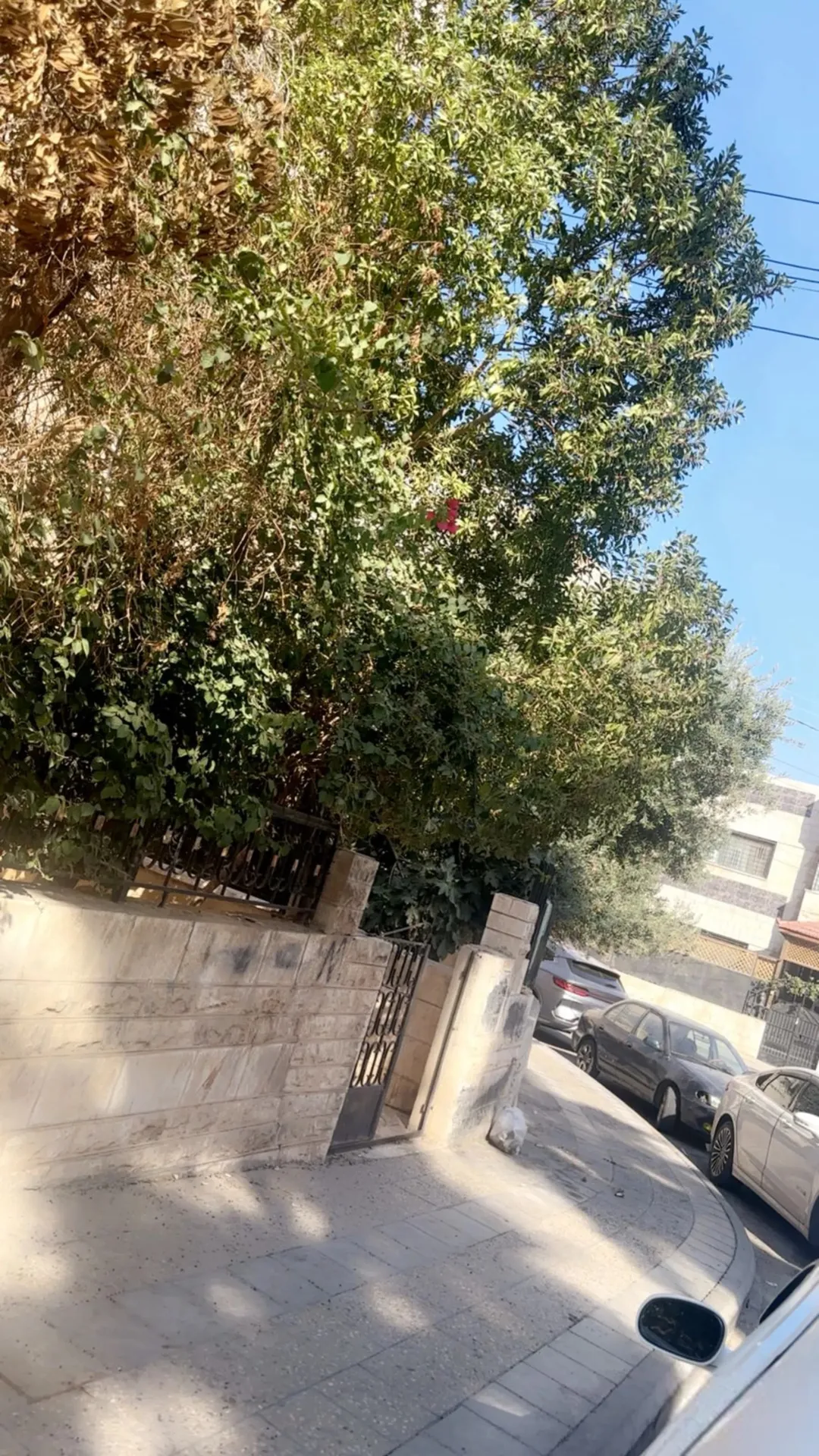 شقة مميزة للبيع في حي العبدالات