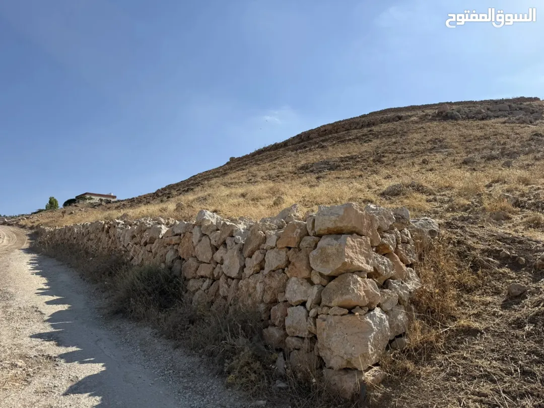 أرض للبيع في منطقة الصبيحي