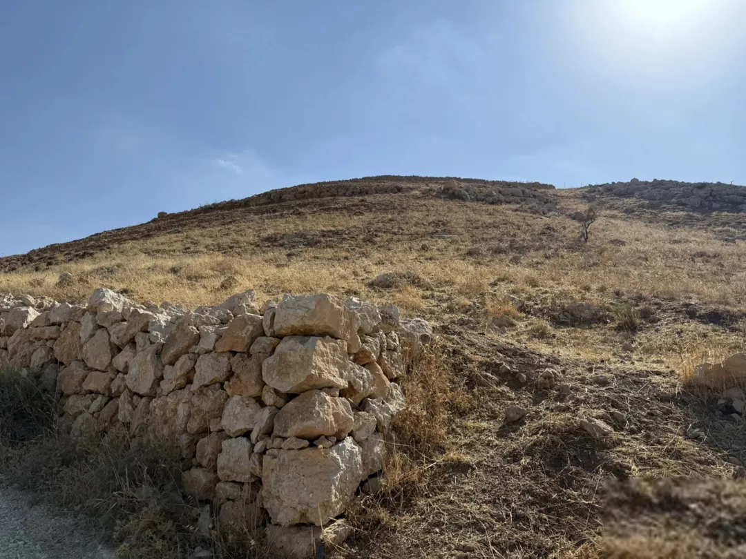 أرض للبيع في منطقة الصبيحي