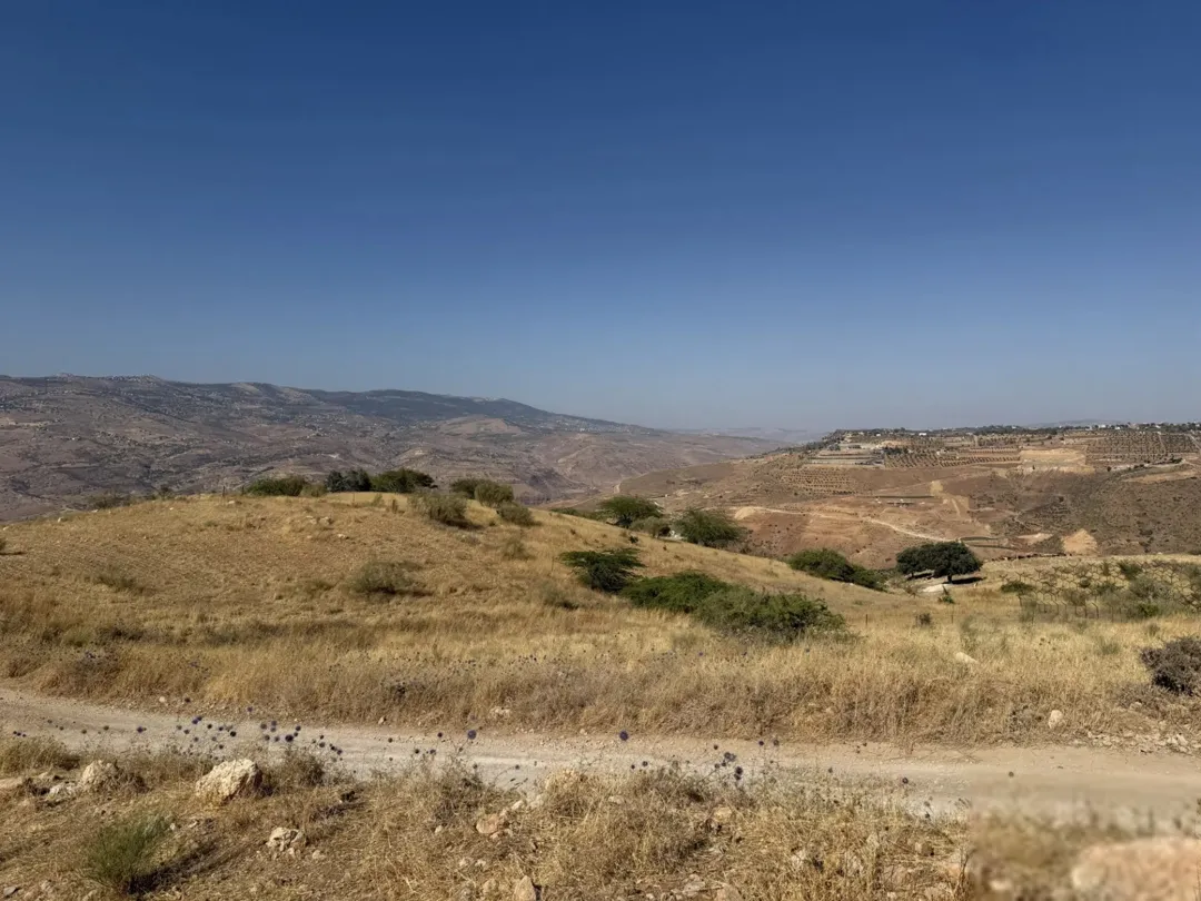 أرض للبيع في منطقة الصبيحي