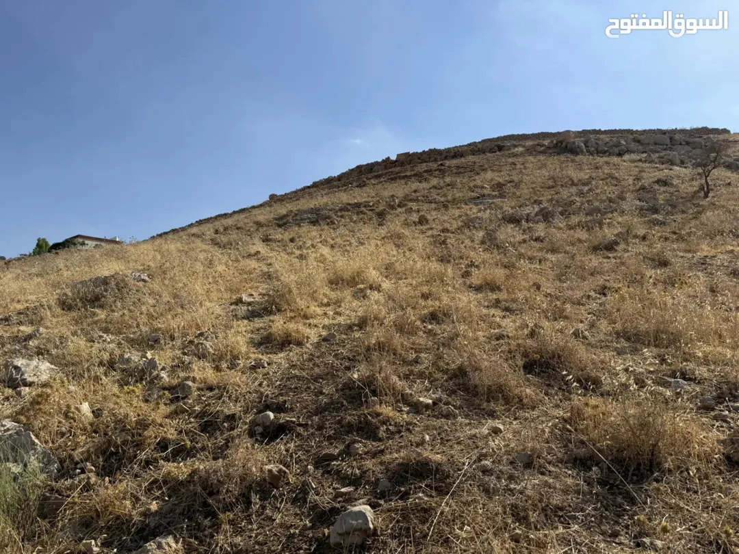 أرض للبيع في منطقة الصبيحي