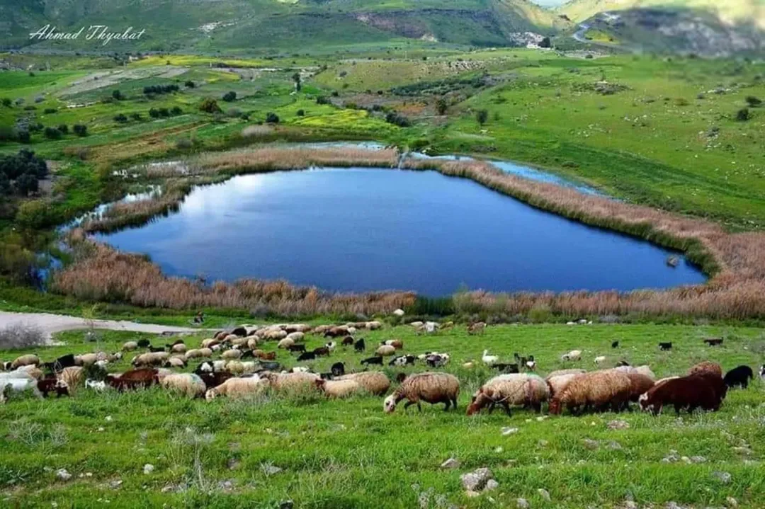 شقه للبيع قرب الباب الشمالي لجامعة اليرموك