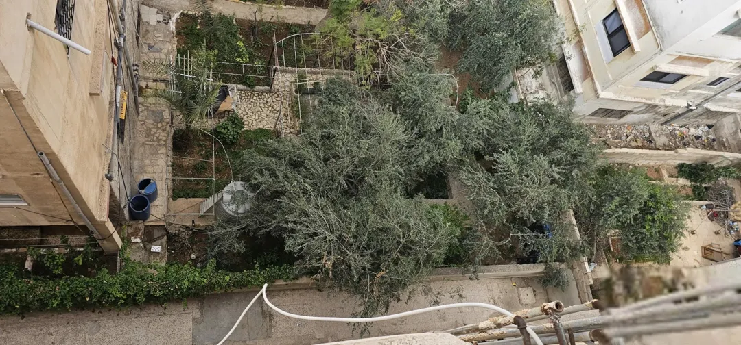 عماره للبيع في الزرقاء حي الإسكان