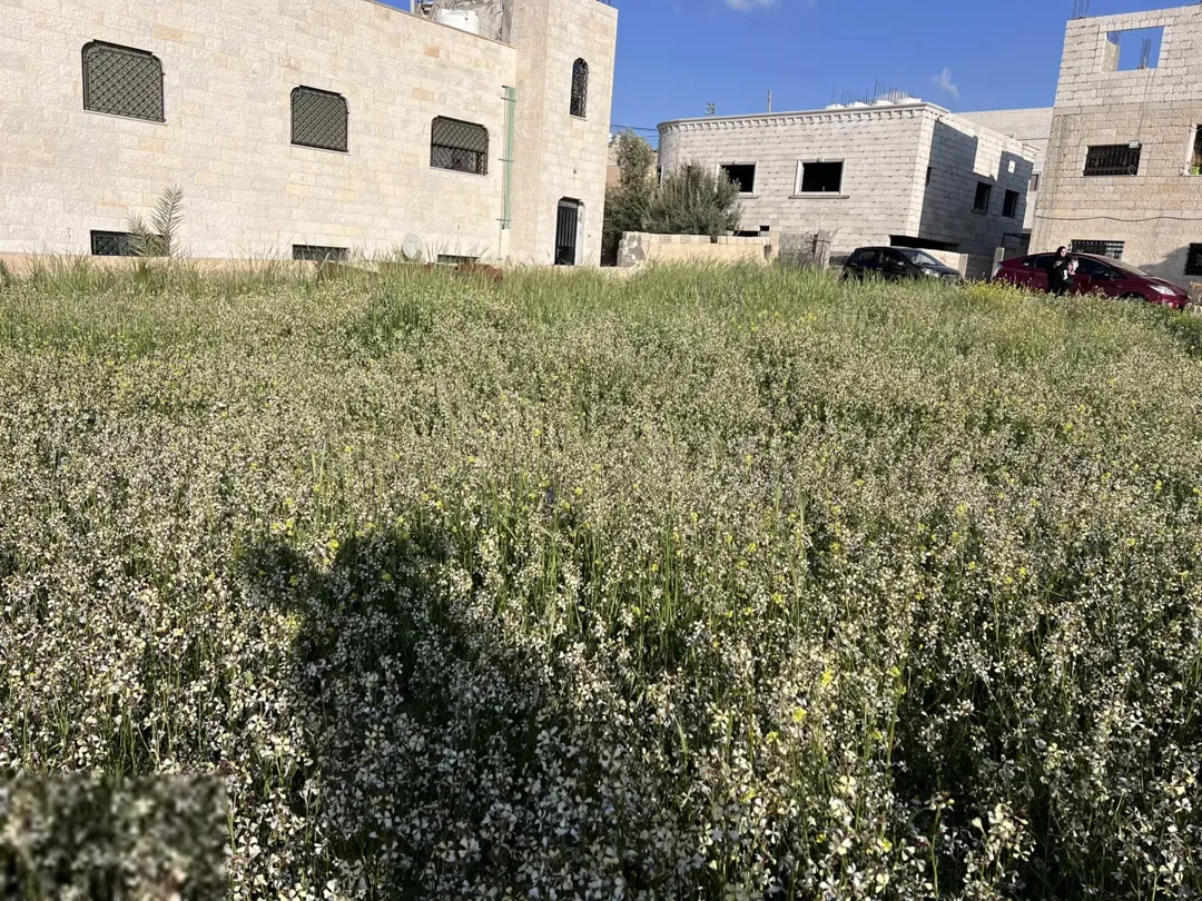 أرض بالعبدلية كوشان مستقل