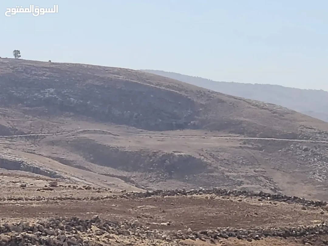 ارض مميزة للبيع في عراق الامير مساحة 10100 متر مربع